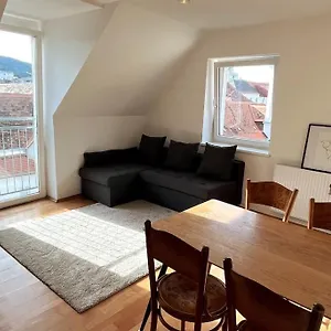 Cozy City Center Apartment